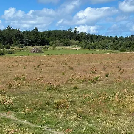 6 Person In Lokken-by Traum * Løkken
